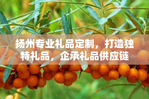 扬州专业礼品定制，打造独特礼品，企承礼品供应链