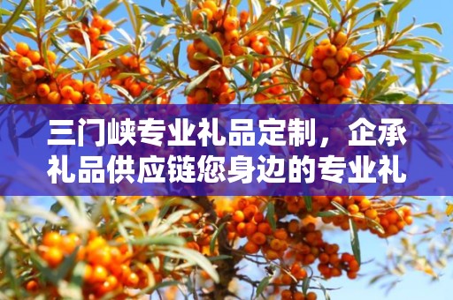 三门峡专业礼品定制，企承礼品供应链您身边的专业礼品定制公司